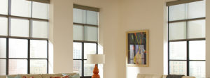 Lutron Automated Roller Shades